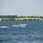 Appartamento Kuestenzauber In Stoveostsee, Exklusiv - Abc589 *